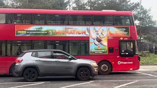 Migration movie bus artwork January 2024