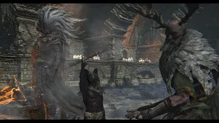 (Convergence) Archdruid Caimar Vs Nameless King: Boss vs Boss