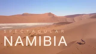 SPECTACULAR NAMIBIA - short drone wildlife film (4K)