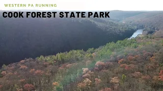 Cook Forest State Park- Western PA Running | Wolf Creek Track Club