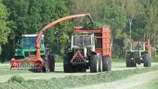 Vintage silage harvesting!