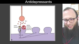 07 53 - Ketamine : NMDA (N-methyl-D aspartate) receptor antagonist,