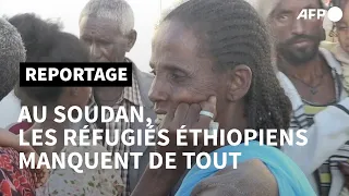 Dans le camp d'Oum Raquba au Soudan, les réfugiés éthiopiens manquent de tout | AFP