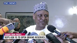 Analysts Share Insights On Reps Asking  FG To Open Grain Reserves