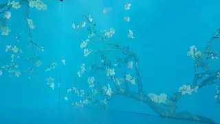 Van Gogh’s Almond Blossoms animated in the Van Gogh 360 exhibit