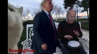 Biden sing Trump Dance | Cat Vibes ( deepfake ) funny video