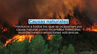 Las principales causas y efectos de la degradación ambiental | Quimtia Medio Ambiente