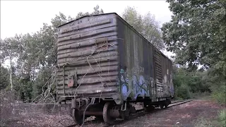 Abandoned boxcar in the woods saved! - BCLR Millis, MA to NNB Rhode Island - 9/2023