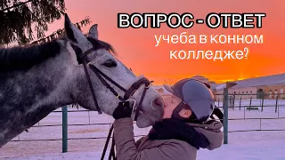 ВОПРОС-ОТВЕТ | ХШН, КОННЫЙ КОЛЛЕДЖ🐴