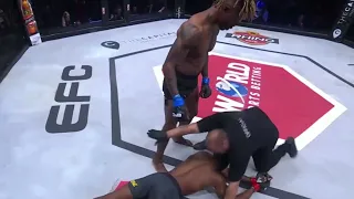 Best MMA Knockouts, December Part 1 2023 fights | HD, HIGHLIGHTS