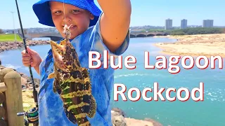 Blue Lagoon Rockcod and Grunter | Fishing Durban