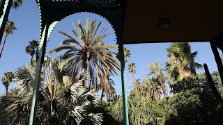 Moroccan Gardens