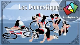 The Tour De France Explained in Animation