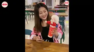 Tik Tok Chó Phốc Sóc Mini 😍 Funny and Cute Pomeranian #47