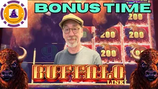 Buffalo Link Bonus Time! #slots #casinoslots #buffalolink #konami