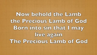 Now Behold the Lamb (Condensed) Lyric Video