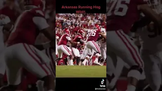 Arkansas Razorbacks: Running Hog Wild!