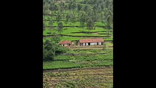 Real Ghost Caught on Camera 😱😱 |   haunted house in ooty tea estate | real ghost house