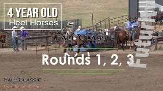 4 Yr Old Heel Horses Round 1, 2, 3. Fall Classic Rope Horse Futurity 2022