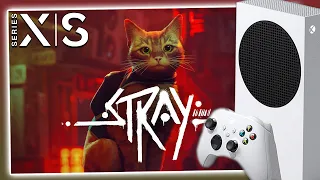 Stray на Xbox Series S / Геймплей