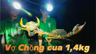 #16.Ngã Ba TV.[] Bắt được 1cặp Cua khủng,1,5kg trong đầm lấy nước tự nhiên.( Vietnamese life TV )
