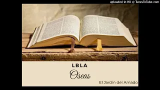 28.  OSEAS -  LBLA (LA BIBLIA DE LAS AMERICAS)