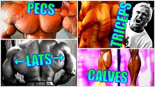 Constructing the ULTIMATE BODYBUILDER - Best Body Parts of 2019!!!