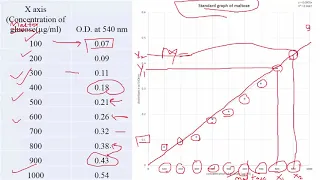 Enzyme activity calculation using standard graph