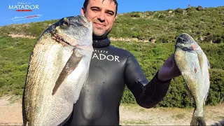 pesca sub | 🤩 ORATONA DA SOGNO SPARO INCREDIBILE spearfishing arbalete Matador
