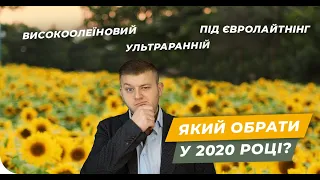 Тренды выращивания подсолнечника 2020