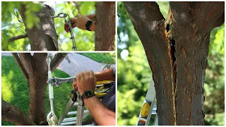 Trying to Save our Tree that Split! 💚🌳🤞// Garden Answer