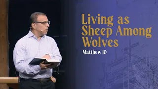 Matthew | Living as Sheep Among Wolves