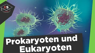Prokaryoten und Eukaryoten Vergleich - Unterschied Procyt/Eucyt -Prokaryoten und Eukaryoten erklärt!