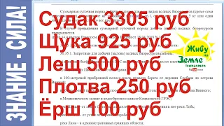 Новые РЫБОЛОВНЫЕ ПРАВИЛА и ШТРАФЫ. Как не остаться "без штанов" после рыбалки.