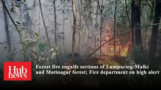 Forest fire engulfs sections of Catchment area; Fire department on high alert