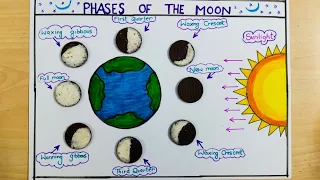 Phases of the moon project on chart paper!! Oreo Biscuit Moon Phases Activity!! Science Activity..