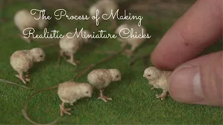 The Process of Making Realistic Miniature Chicks | 1/12th Scale Polymer Clay Artwork | Artist Vlog