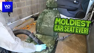 Deep Cleaning the MOLDIEST Car Seat EVER! | Satisfying DISASTER Car Detailing Transformation