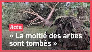 Dévasté par la tempête Ciaran le jardin de l’île de Batz mettra des mois à s'en remettre