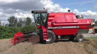 Massey Ferguson 27 beim Dreschen in Alikendorf