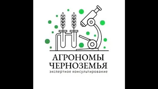 Всходы озимой пшеницы в ЦФО (засуха, яровизация, заглубление посевов) - что ожидать?