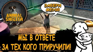 Подрабатываю в приюте для животных! - Animal Shelter (первый взгляд)