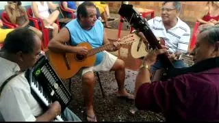 antonio e amigos roda de viola