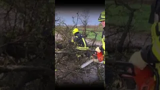 ❗ Страшна негода! Дерева падали! Дахи літали!