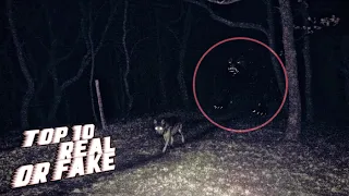 #10 Werewolf Caught on Camera in Real Life (2)