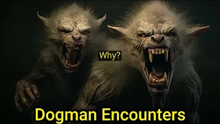 Dogman Encounters #creepy #viral #trendingvideo #trending