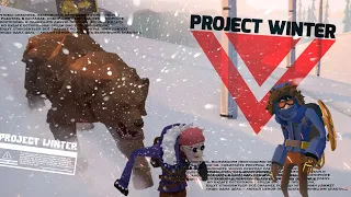 Мой МАЛЕНЬКИЙ ПОМОЩНИК. Project Winter