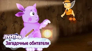 Загадочные обитатели 🐾 Лунтик 🐾 Сборник мультфильмов 2019