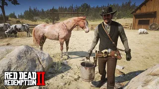 Trabalhando na FAZENDA cuidando dos ANIMAIS - Red Dead Redemption 2