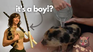 Bath Time with Pig